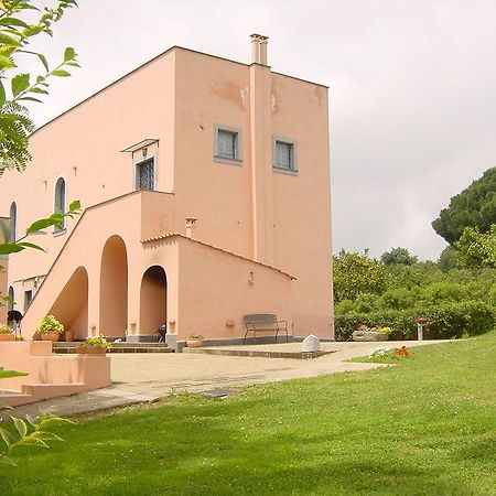 الشقق الفندقية يوتْسْوولْفي  Flegrea House المظهر الخارجي الصورة