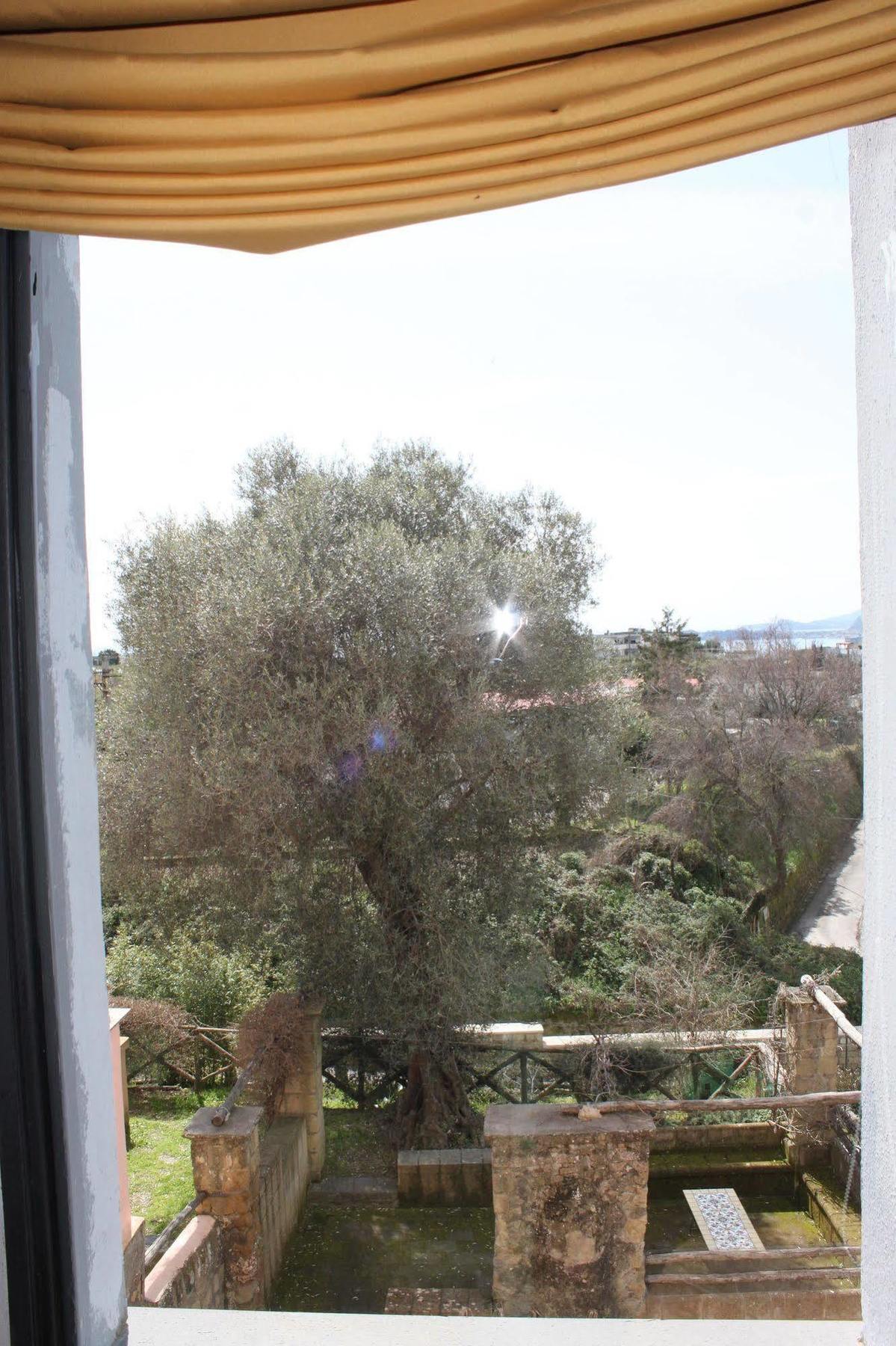 الشقق الفندقية يوتْسْوولْفي  Flegrea House المظهر الخارجي الصورة