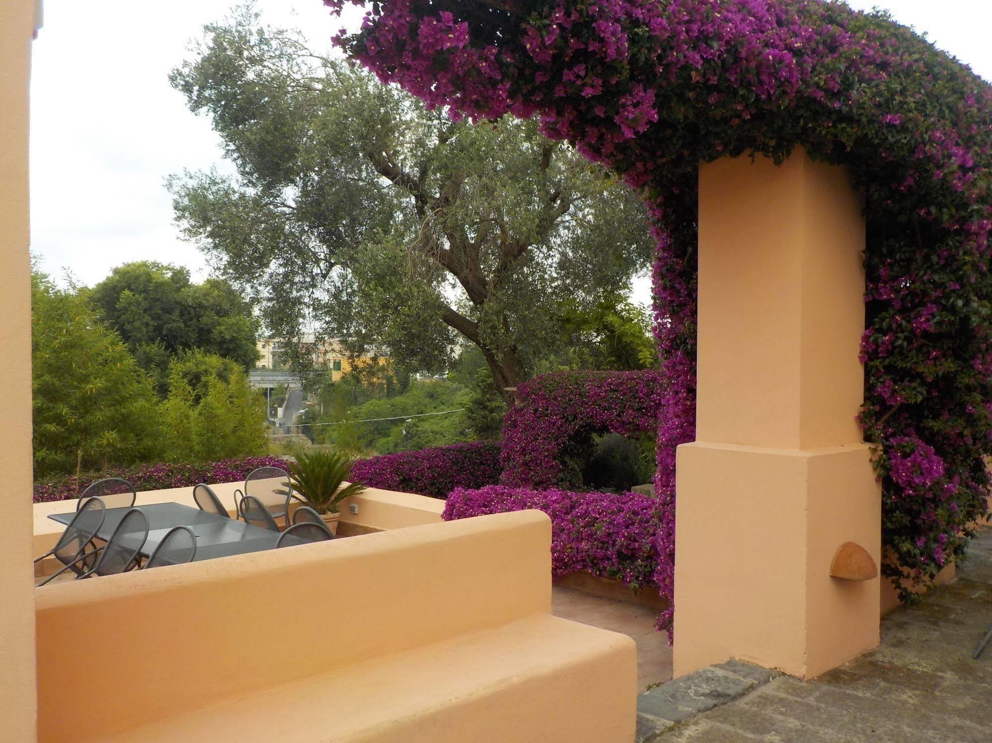 الشقق الفندقية يوتْسْوولْفي  Flegrea House المظهر الخارجي الصورة